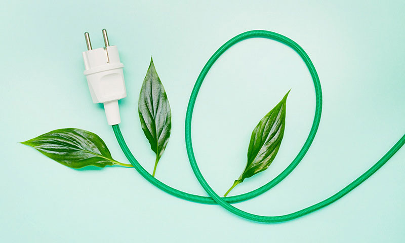Weißer Stecker mit grünem Kabel an dem grüne Bletter sind.